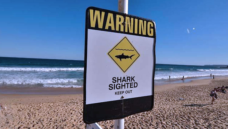 Tanda peringatan hiu di pantai di utara kota New South Wales di Newcastle. (Foto: AFP/CNA)