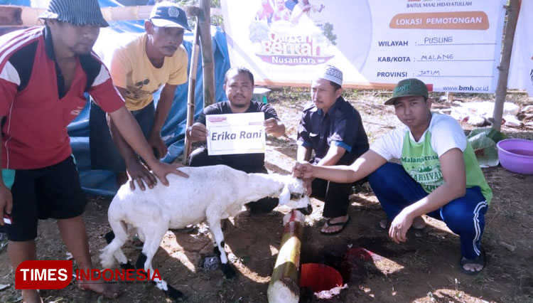 Penyembelihan hewan kurban Oleh BMH Jatim gerai Malang pada 1440 H di Malang. (FOTO: AJP TIMES Indonesia)