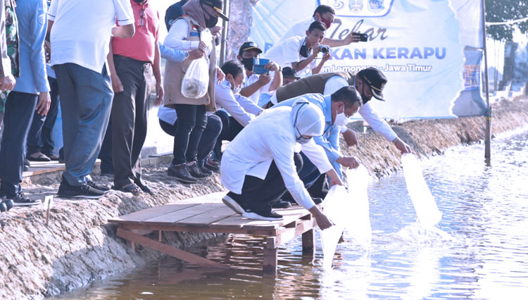 Menteri KKP, Edhy Prabowo (tengah), bersama Gubernur Jawa Timur, Khofifah Indar Parawansa dan Bupati Lamongan, Fadeli, saat menebar benih ikan kerapu di Desa Labuhan, Kecamatan Brondong, Lamongan, Rabu (8/7/2020). (FOTO: Humas Pemkab Lamongan)