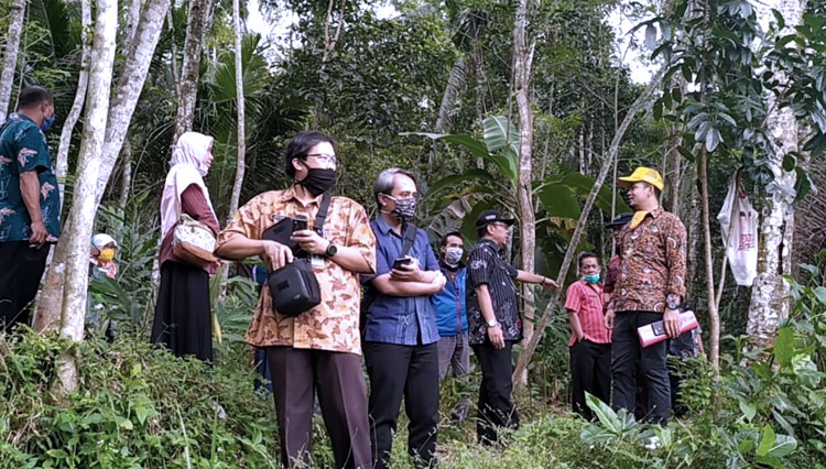 Banyumas Siapkan Desa Cibangkong sebagai Sentra Kebun Pisang Cavendis