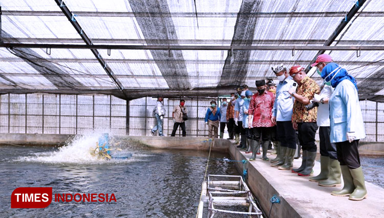 Menteri KKP Edhy Prabowo saat mengecek kolam sidat di PT Iroha Sidat Indonesia (FOTO: Rizki Alfian/ TIMES Indonesia)
