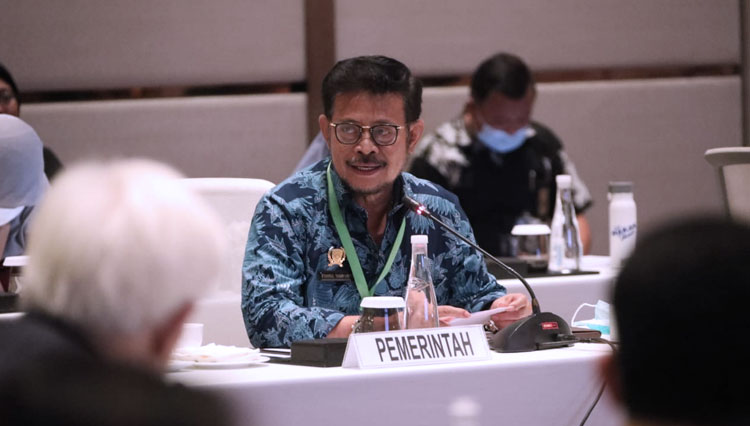 Begini Strategi Mentan RI SYL dalam Menghadapi Dampak Covid-19 di Sektor Pertanian