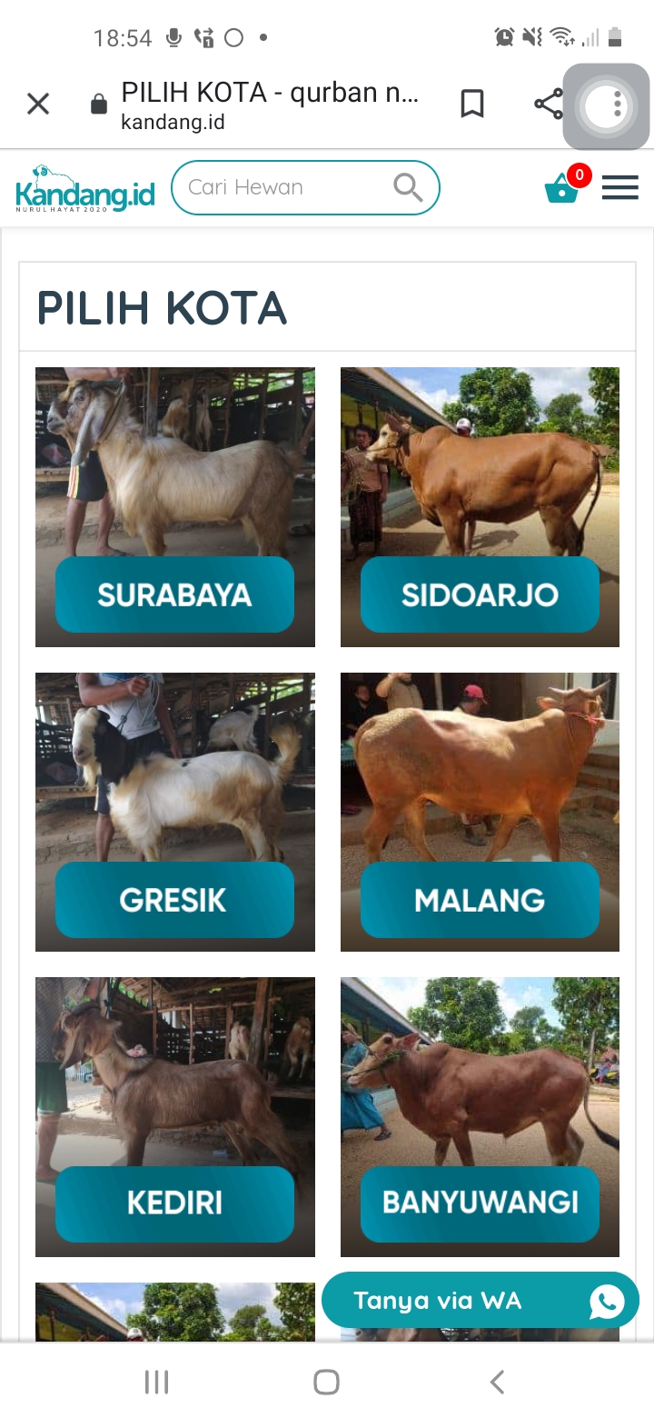 kandang-b.jpg