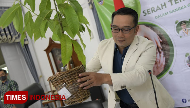 Gubernur Jabar Ridwan Kamil menerima dan menyerahkan pohon secara virtual dalam rangka Gerakan Tanam+Pelihara 50 Juta Pohon dari Gedung Pakuan, Kota Bandung, Sabtu (11/7/2020). (Foto: Humas Pemprov Jabar for TIMES Indonesia)