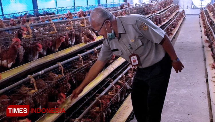 Adaptasi-Kebutuhan-Kehidupan-Baru-2.jpg
