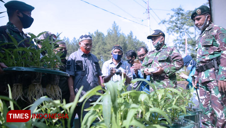 Komandan Brigif Para Raider 18/SEY Divisi 2 Kostrad Kolonel Inf. Ahmad Hadi Al Juri saat meninjau kebun dan budi daya ikan dalam ember (budikdamber) bersama dengan para jurnalis. (FOTO: Adhitya Hendra/TIMES Indonesia)