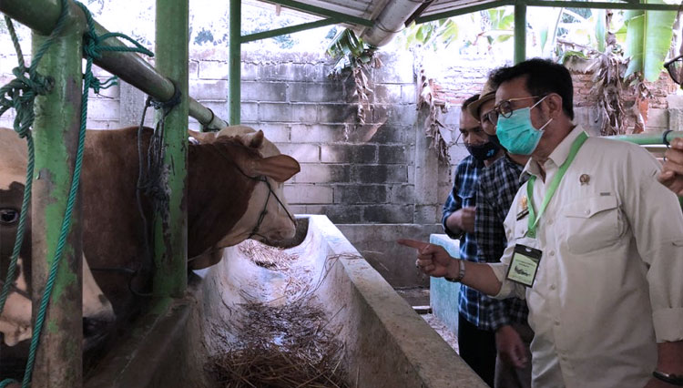 Mentan RI Syahsrul Yasin Limpo mengunjungi unit pengolahan pakan dan kandang pembiakan, serta penggemukan sapi di desa Neglasari, Kecamatan Purwadadi kabupaten Subang. (Foto: Kementan RI for TIMES Indonesia)