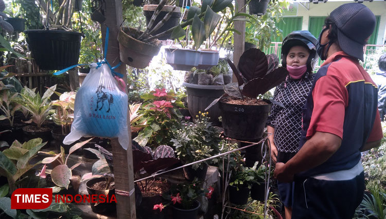 Muhammad Rozikin sedang melayani pembeli tanaman hias di Toko Tanaman hias miliknya di Jalan Kiyai Turmudhi Demak (Sumber : Fuhatur Rohman/ Times Indonesia).
