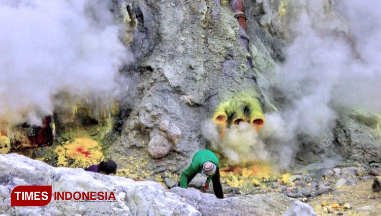 Aktivitas penambangan belerang di Kawah Ijen. (FOTO: Agung Sedana/TIMES Indonesia)