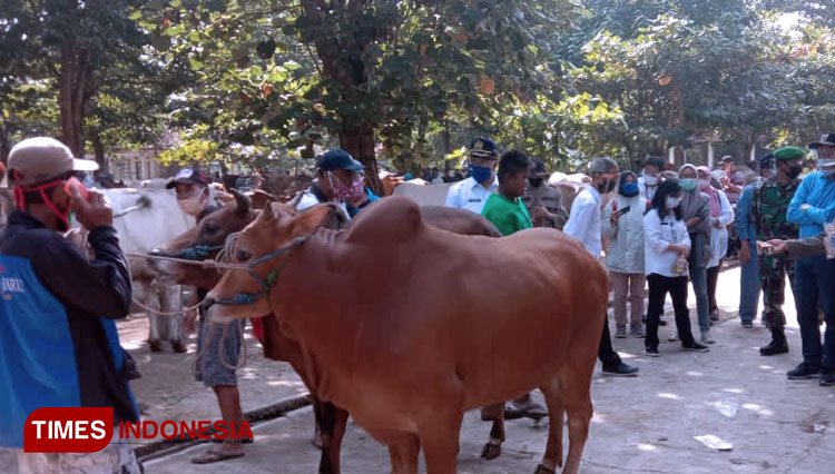 Bupati Sleman Sri Purnomo ketika meninjau Pasar Hewan dan Rumah Potong Hewan Ambarketawang, Kecamatan Gamping, Sleman. (FOTO: Humas Pemkab Sleman for TIMES Indonesia)