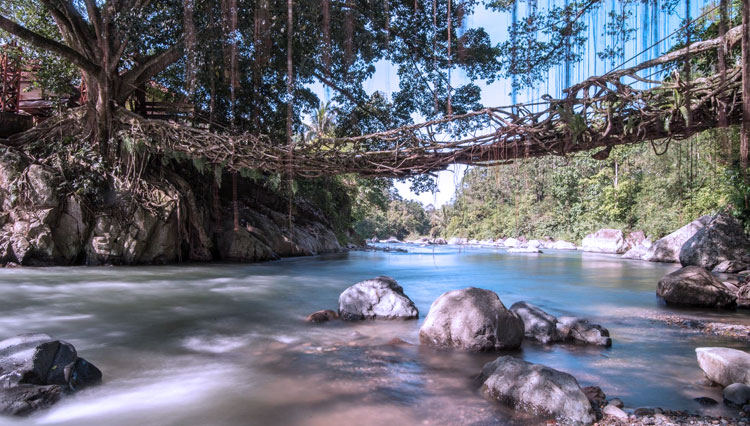 Illustration: Living root bridge in Padang, West Sumatra. (PHOTO: Shutterstock)