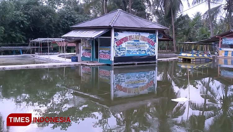 Kolam-ikan-milik-Udiono-b.jpg