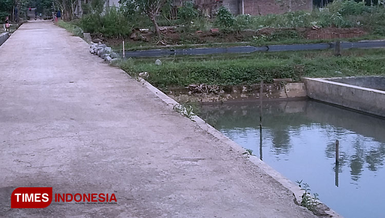 Kolam-ikan-milik-Udiono-c.jpg