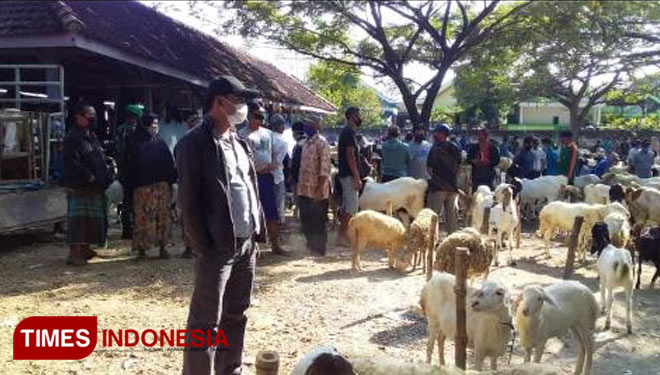 Pengawasan di Pasar Hewan Desa Mentaras Kecamatan Dukun (Foto: Akmal/TIMES Indonesia).