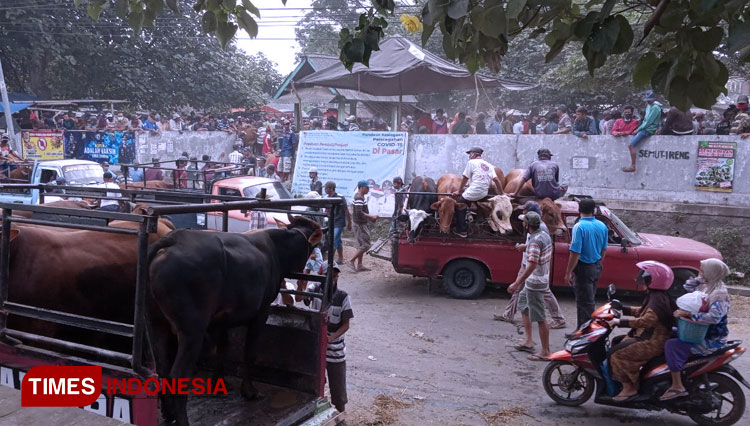 Suasana di Pasar Hewan Kecamatan Mayang, Jember, Jawa Timur yang tampak ramai pembeli, Minggu (19/7/2020). (Foto: Delfi Nihayah/TIMES Indonesia)