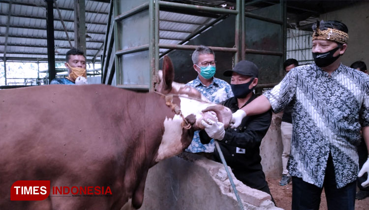 Bupati Bandung Dadang M Naser meninjau Rumah Potong Hewan di Desa Gandasoli, Kecamatan Katapang, Kabupaten Bandung, Kamis (23/7/2020). (FOTO: Aby/TIMES Indonesia)