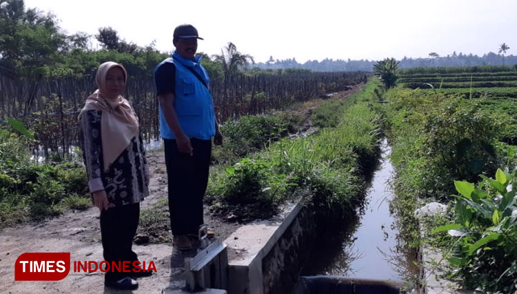 Dr. Ir. Eko Noerhayati, MT memperlihatkan hasil Rehabilitasi Jaringan Irigasi di desa Sukoanyar Pakis Kabupaten Malang. (FOTO: AJP TIMES Indonesia)