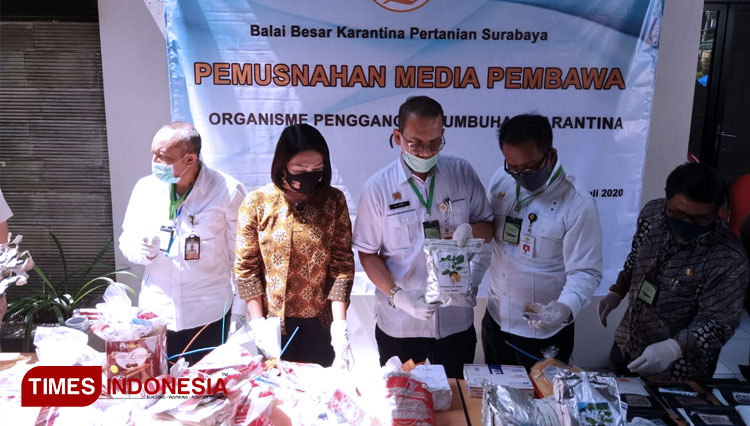 Kementan musnahkan komoditas pertanian ilegal dari 26 negara di Sidoarjo, Jumat (24/7/2020). (FOTO: Farida Umami/TIMES Indonesia)