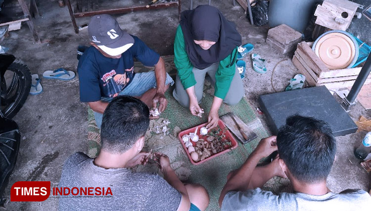 Mahasiswa KKN Unisma memberikan sosialisasi pembuatan obat herbal ternak kepada para peternak di Desa Kaliwining. (FOTO: AJP TIMES Indonesia)