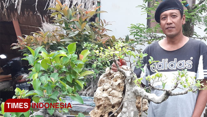 Budhianto bersama Beberapa Karya Seni Bonsainya di halaman rumah (Photo: Zaenal Arifin/ Times Indonesia)