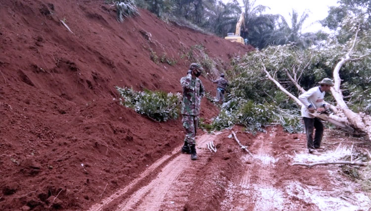 Pembuatan Jalan di Kebun Sawit.