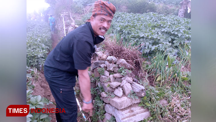 lahan-pertanian-2.jpg