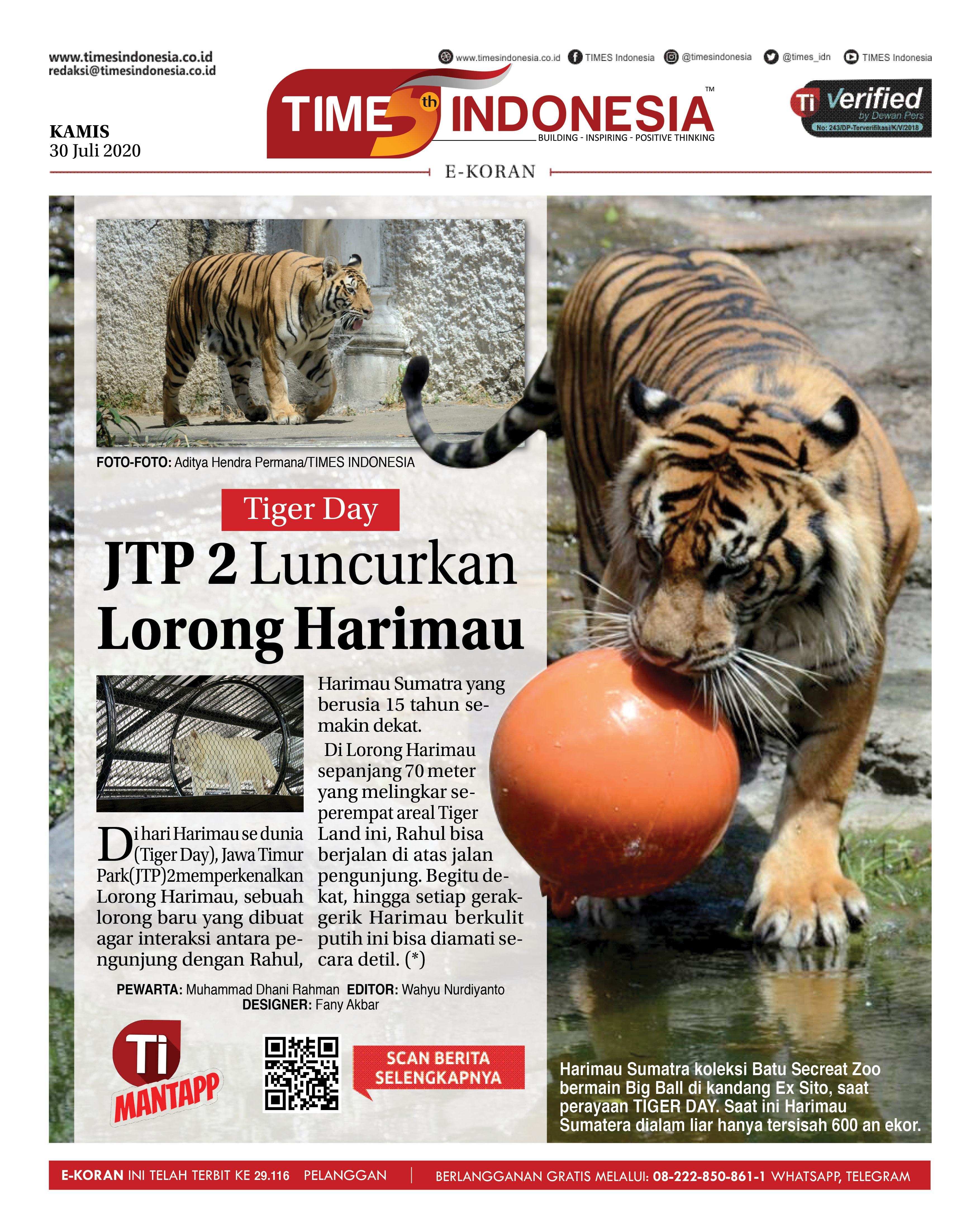Edisi-Kamis-30-juli-2020-tiger111.jpg