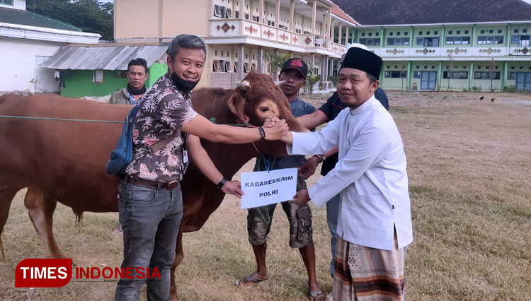 Pengasuh Pondok Pesantren Nurut Taqwa Bondowoso KH Nawawi Maksum (kanan) saat menerima hewan kurban dari Kabareskrim Polri Komjend Pol Listyo Sigit Prabowo. (Foto: Moh Bahri/TIMES Indonesia)