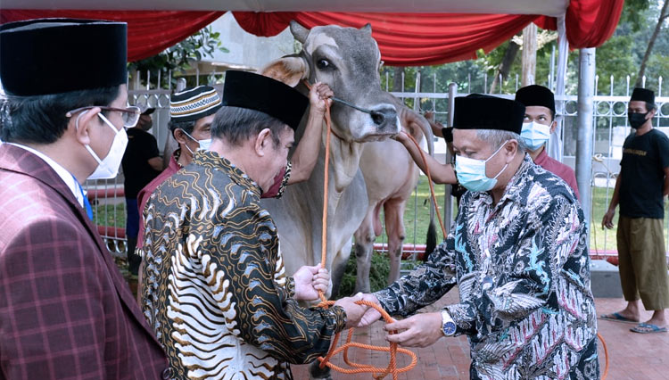 Penyerahan sapi kurban dari Presiden kepada Panitia Iduladha kepada Masjid Istiqlal, Provinsi DKI Jakarta, Kamis (30/7). (FOTO: BPMI)