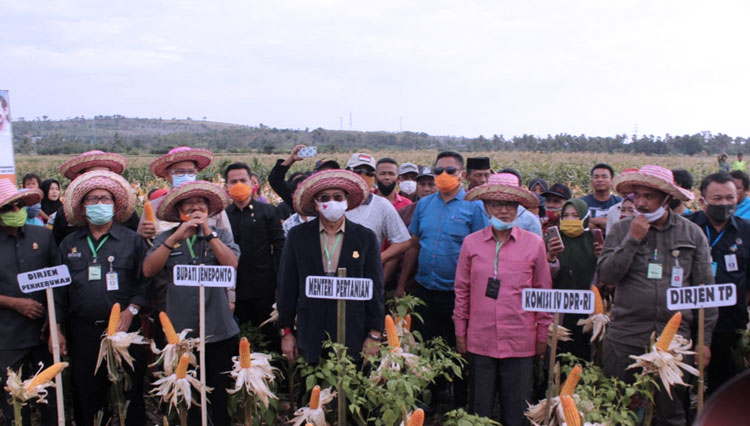 Menteri Pertanian (Mentan) Syahrul Yasin Limpo (SYL) saat mengikuti panen raya jagung di Desa Karelayu, Kecamatan Tamalatea, Kabupaten Jeneponto, Sulawesi Selatan. (Foto: Humas Kementan RI)