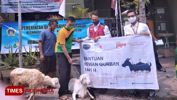 Manajemen PT BKMS selaku pengembang dan pengelola kawasan industri JIIPE menyerahkan hewan kurban. (FOTO: Mifti Haris Comdev PT BKMS for TIMES Indonesia).