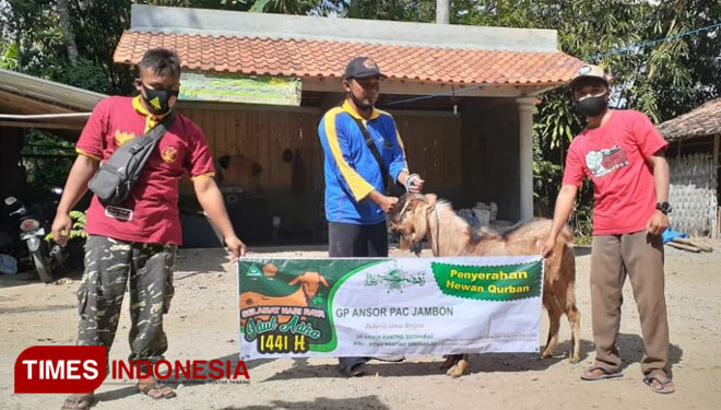 Penyerahan hewan kurban oleh ketua PAC GP Ansor Jambon kepada Kepala Madrasah Diniyah Mubtadiin Al Makiyyah Desa Sidoharjo, Jambon, Ponorogo. (Foto: Amroni/TIMES Indonesia)
