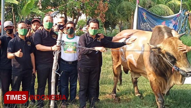 Paslon QA saat menghadiri pemotongan hewan kurban oleh RGS usai deklarasi (Foto: Akmal/TIMES Indonesia).