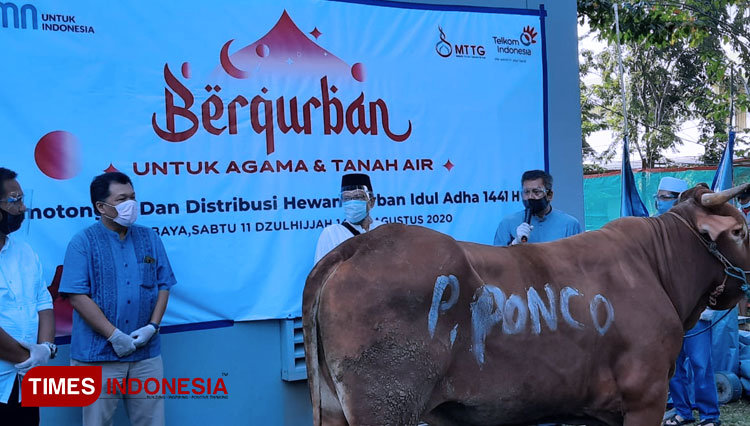Penyerahan sapi milik Pontjo Suharwono kepada Telkom Regional V Jatim Balnus untuk disembelih. (Foto: Inntan/TIMES Indonesia)