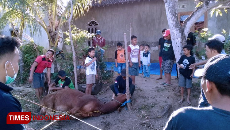 Suasana penyembelihan hewan kurban di Desa Semanding, Jenangan, Ponorogo. (Foto: Ima Pangestudin/TIMES Indonesia)
