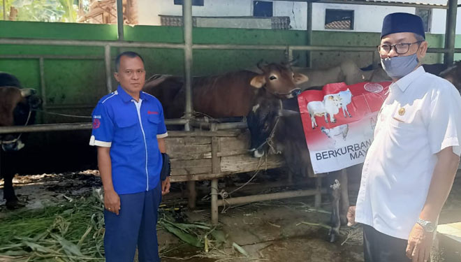Fresindo-Jaya-Pasuruan-3.jpg