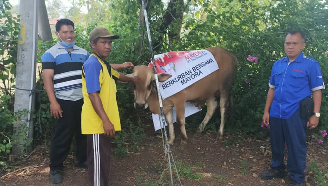 Perwakilan PT. Tirta Fresindo Jaya Pasuruan saat menyerahkan hewan kurban. (foto: Humas PT. Tirta Fresindo Jaya Pasuruan)