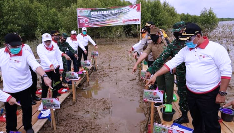 Penanaman Pohon Mangrove di Taman Nasional Sembilang (Foto: Zuhri for TIMES Indonesia)