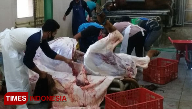 Ilustrasi - Penyembelihan hewan kurban saat pandemi Covid-19 (Foto: Dok.TIMES Indonesia)