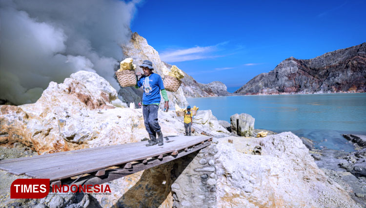 A miner took the sulphur he got from Ijen Crater. (PHOTO: Rizki Alfian/TIMES Indonesia)