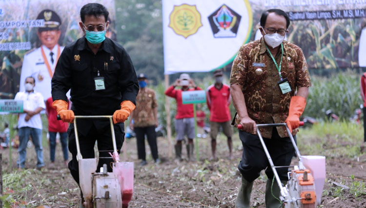 Mentan RI Syahrul Yasin Limpo didampingi, Bupati Blitar tanam jagung bareng. (FOTO: Kementan RI)