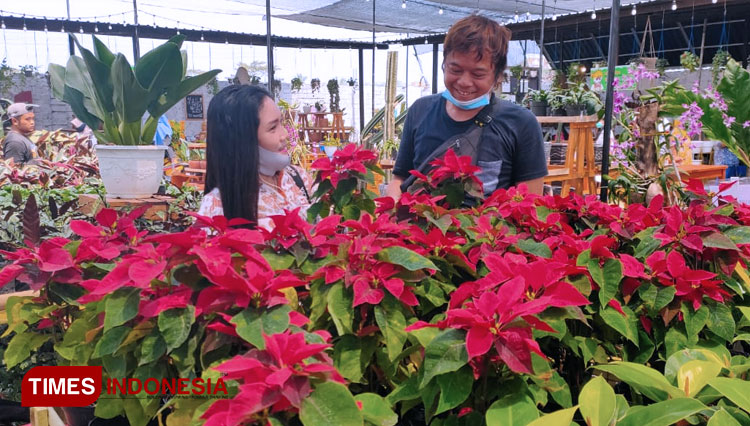 Sejumlah pengunjung Cafe Anggrek Dira Group tengah memilih tanaman hias yang dijual di sana, Jumat (14/8/2020). (FOTO: Dody Bayu Prasetyo/TIMES Indonesia)
