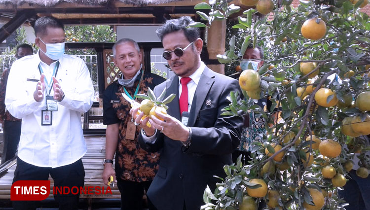 Menteri Pertanian Dr Syahrul Yasin Limpo SH MSI melaunching Taman Sains Pertanian (TSP) Jeruk Balitjestro, di Jl Raya Tlekung, Kecamatan Junrejo, Kota Batu, (foto: Muhammad Dhani Rahman/TIMES Indonesia)