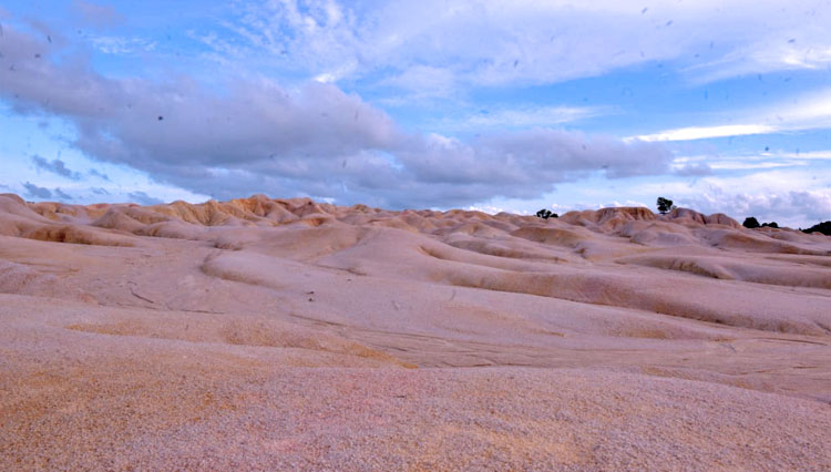 Gurun-Pasir-Telaga-Biru-Bintan-Kepulauan-Riau-4.jpg