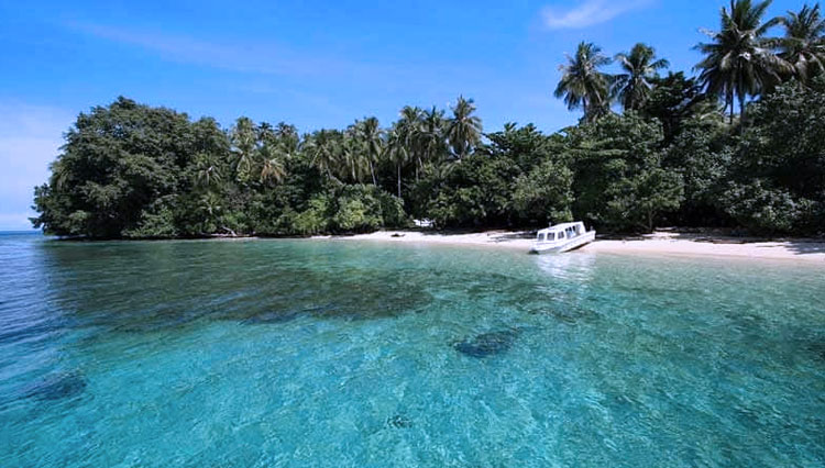 Teluk-cendrawasih.jpg