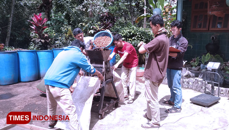 Proses pengolahan kopi. (Foto: Rizki Alfian/TIMES Indonesia)