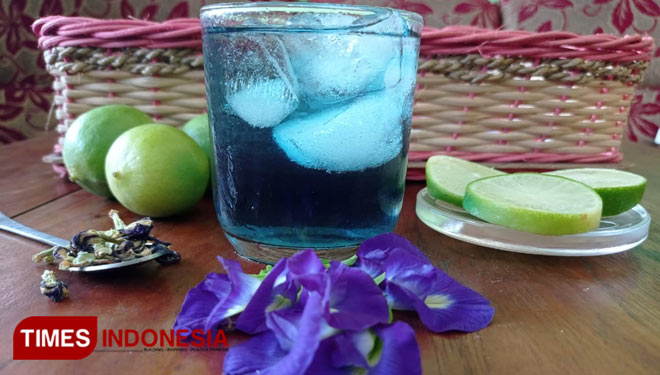 Butterfly-Pea Flower Tea, the Refreshing Tea with a Mesmerizing Blue Color
