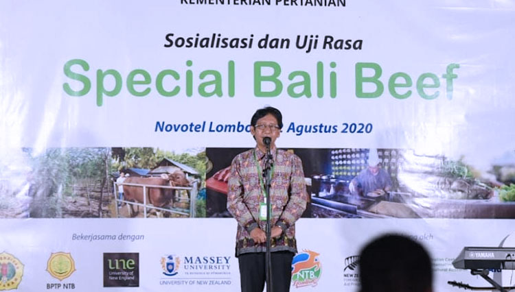 Provinsi NTB Berhasil Temukan Varietas Sapi Unggul | TIMES Indonesia