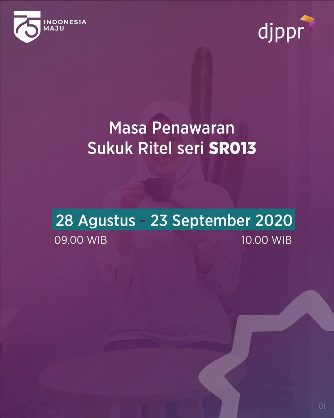 SR13 b
