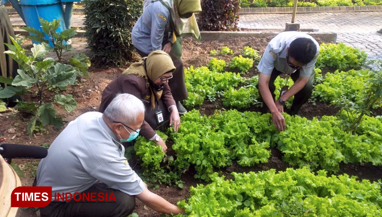 Kementan RI Siapkan Agro Edu Wisata Di BBPP Batu - TIMES Indonesia